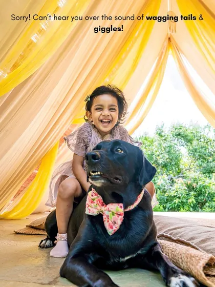 A joyful photo of a little girl riding on the back of her gentle black lab, both with huge smiles.