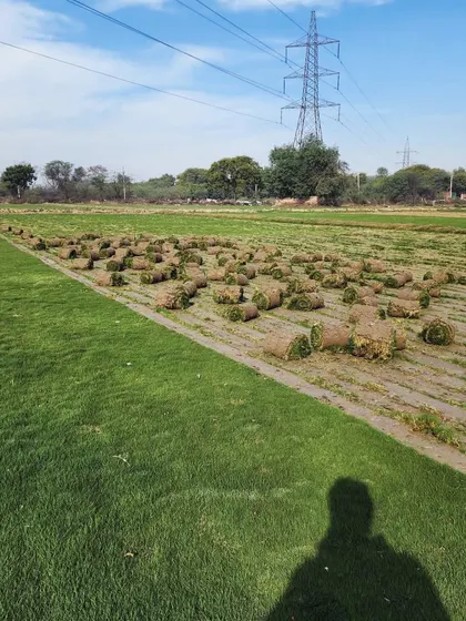The shadow of a team member overlooking the turf field, a personal touch from our farm.