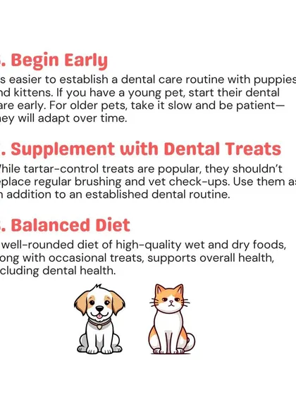 It's best to start a dental care routine early with puppies and kittens. For all pets, supplementing their diet with dental treats and ensuring they eat balanced meals supports overall oral health.