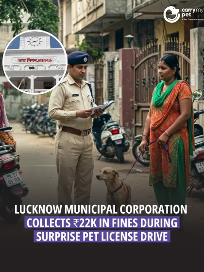The Lucknow Municipal Corporation collected ₹22,000 in fines during a surprise pet license drive, reinforcing the mandatory registration of pets in the city.