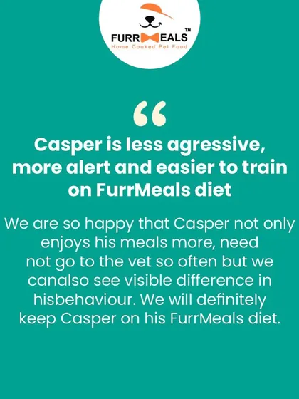 A happy dog and a happy parent are the best rewards. This message from Casper's family shows how a customized diet plan can improve not just physical health, but also behaviour, making dogs less aggressive, more alert, and easier to train.