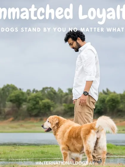 This image speaks volumes about the unmatched loyalty of a dog. A man and his Golden Retriever stand by the water's edge, a quiet moment of companionship captured against a beautiful, natural landscape.