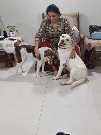 Me with Yoshi and another one of my dogs. She was a special soul who became a part of our family. Working with rescue dogs means opening your heart completely, and she made it easy.
