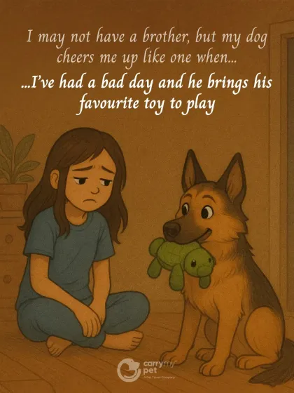 My dog cheers me up like a brother. After a bad day, he knows just what to do, bringing his favorite toy to remind me it's time to play.