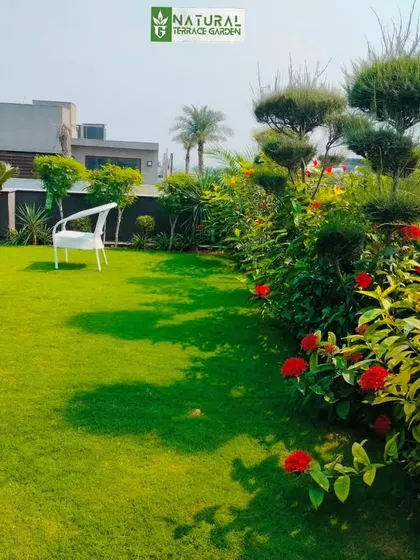A lush rooftop garden with a natural lawn and a variety of flowering plants and manicured shrubs.
