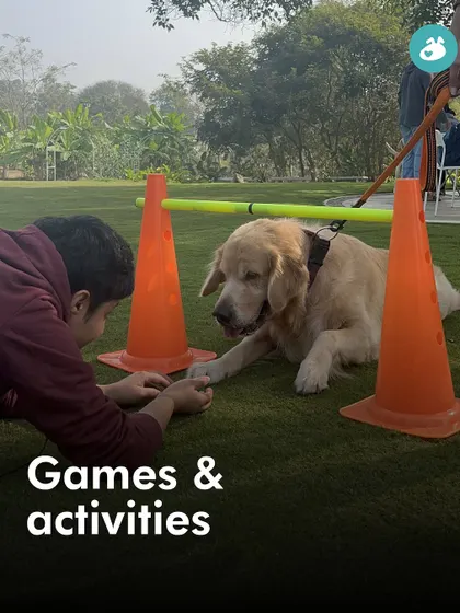A duplicate of the games and activities shot, showing the fun, interactive elements of our picnics.