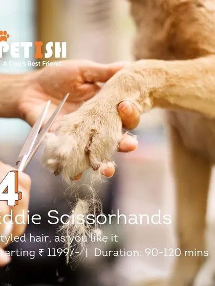 The "Eddie Scissorhands" package is all about styled hair. I work with you to create the perfect look for your pet, whether it's a breed-specific cut or a custom style.