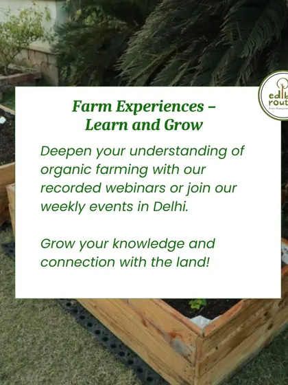 We offer farm experiences that help you deepen your understanding of organic farming. Join our weekly events or recorded webinars to grow your knowledge and connection with the land.
