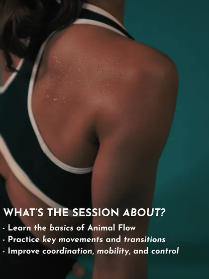 This graphic explains what our Animal Flow workshop is about: learning the basics, practicing key movements, and improving coordination, mobility, and control.