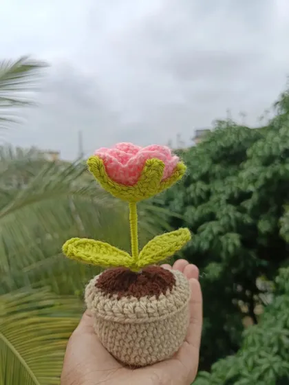 A single potted pink rose, perfect for table decor or as part of a larger set.