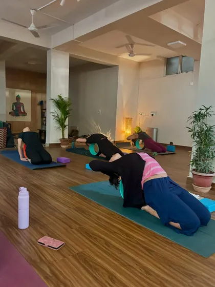 Students using yoga wheels to open the thoracic spine. This is a safe and effective way to prepare the body for deeper backbends and release tension in the upper back.