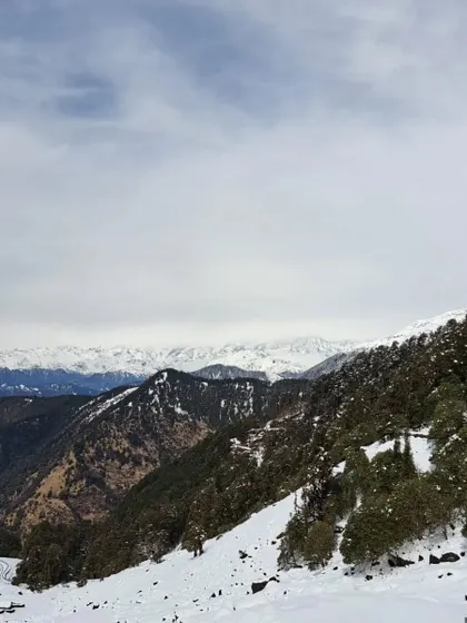 A panoramic view of the snow-covered Himalayan peaks as seen from a trail in Chopta. Our treks offer not just wildlife, but also truly awe-inspiring mountain vistas.