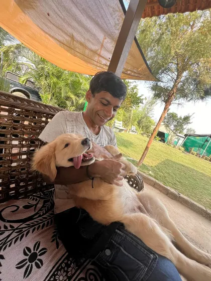 A guest sits on a rustic bench, smiling as he cuddles a happy Golden Retriever puppy.