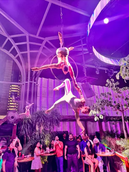 Creating layered shapes during a duo lyra performance. The interplay between two bodies on a single apparatus adds a complex and beautiful dimension to the act.