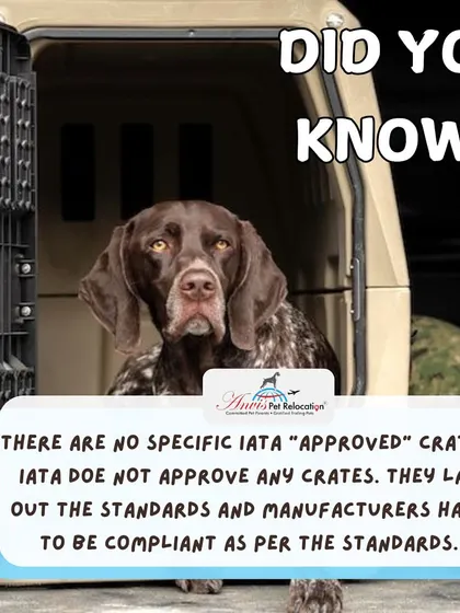 Did you know there are no specific IATA "approved" crates? IATA sets the standards for safety and construction, and manufacturers must build their crates to be compliant with these important rules.
