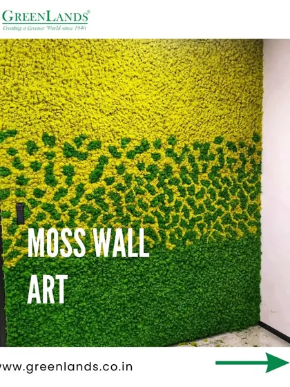 The completed moss wall art, ready for installation. This gradient design moves from dark to light green, creating a visually striking and modern piece of natural decor for a project in Pune.