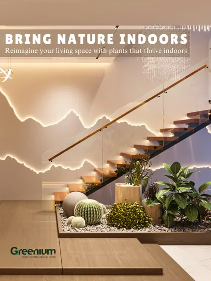 Reimagine your living space with plants that thrive indoors. This entryway design uses a collection of cacti and other succulents at the base of the stairs to create a unique and stylish desert-scape.