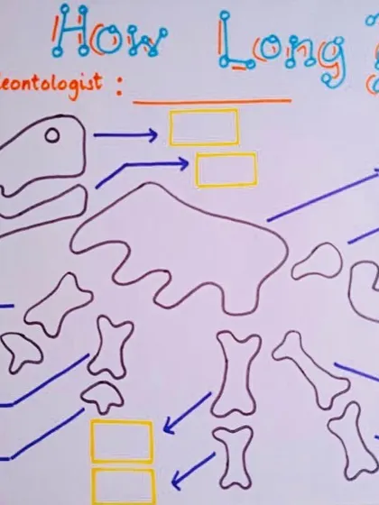 To learn about measurement, our students became paleontologists. They excavated salt-dough dinosaur fossils and used worksheets like this to document the length of each bone, blending science with math.