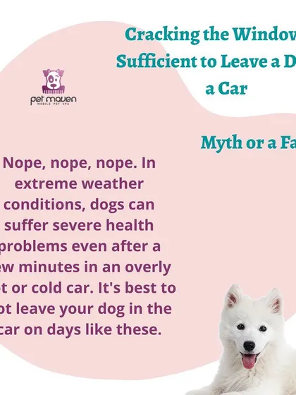 Myth vs. Fact: Is cracking a window enough to leave a dog in a car? We strongly advise against this, as cars can become dangerously hot or cold very quickly.