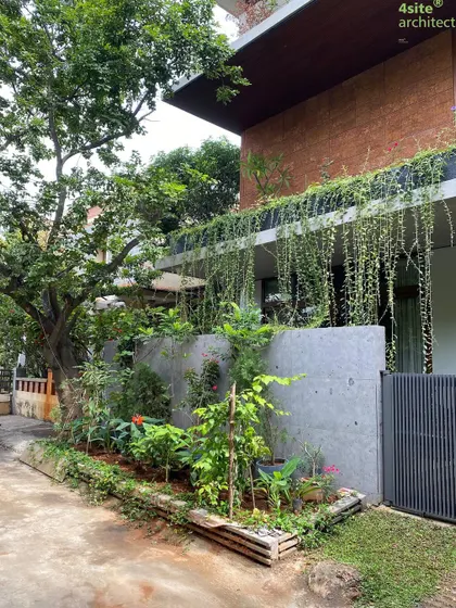 A duplicate image of the side of the house with its layered greenery.
