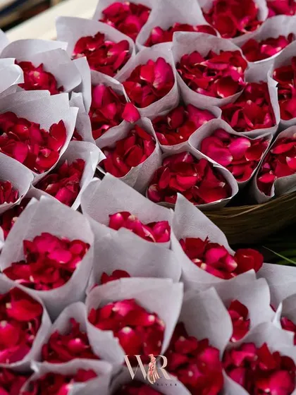 Cones of fresh rose petals, ready for guests to shower the couple with blessings during the ceremony. It's a small but beautiful detail that adds to the interactive and celebratory nature of an Indian wedding.