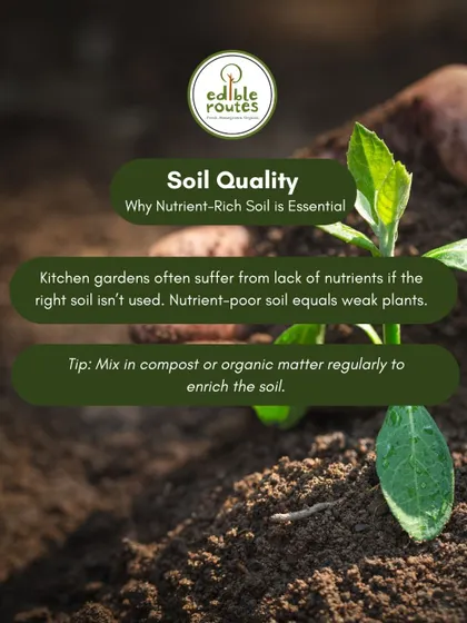 Nutrient-poor soil leads to weak plants. I always emphasize the importance of soil quality and recommend mixing in compost regularly to enrich the soil.
