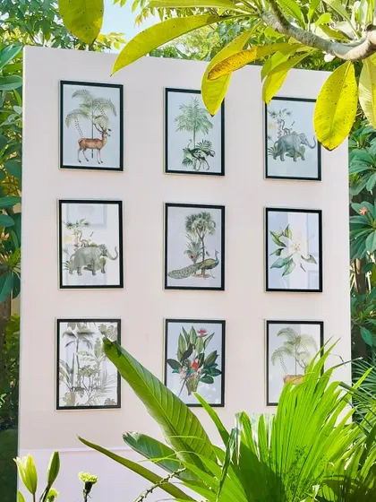 A creative photo backdrop featuring a gallery wall of beautiful botanical illustrations, perfectly fitting the garden theme.