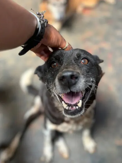 This beautiful senior's smile says it all. Living at our Geriatric Centre means they never have to worry about where their next meal is coming from or if they will be safe.