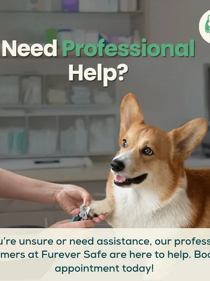 Feeling unsure about trimming your dog's nails? Our professional groomers are here to help. We can handle it safely and stress-free during our home visit.