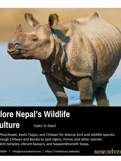 A duplicate of our Nepal Wildlife & Culture tour poster, emphasizing the rich blend of nature and heritage available on this 14-day expedition.