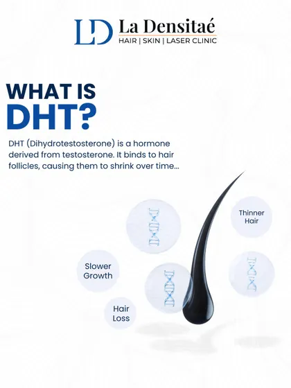 What is DHT? This informational post breaks down the science, explaining how this hormone binds to hair follicles, causing them to shrink over time and lead to hair loss.