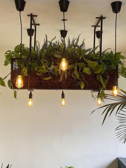 This custom plant chandelier is one of my signature creations. It acts as a stunning living centerpiece, bringing greenery and warm, ambient light together to transform the entire mood of a balcony or covered patio.