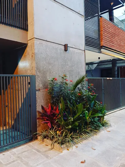 A small tropical planting arrangement at the entrance of a residence in Jaynagar. This shows how a small, well-designed garden bed can make a big impact on a home's curb appeal.