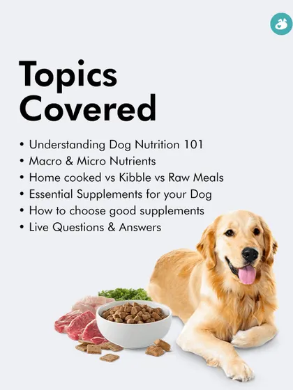 From understanding macro and micronutrients to comparing home-cooked, kibble, and raw diets, our nutrition class covers all the essentials. This slide shows the topics we'll cover to empower you to make better food choices for your dog.