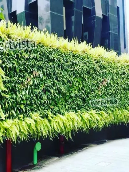 A wider view of the outdoor green wall at The Wadhwa Group's Platina project. This living wall acts as a privacy screen while adding significant aesthetic value to the property's exterior.
