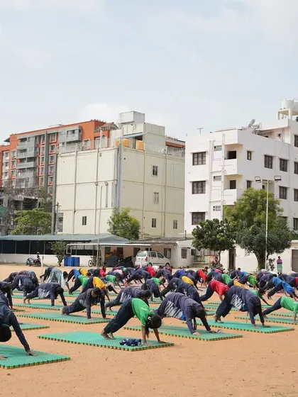 A field of young yogis moving into Adho Mukha Svanasana (Downward-Facing Dog) together.