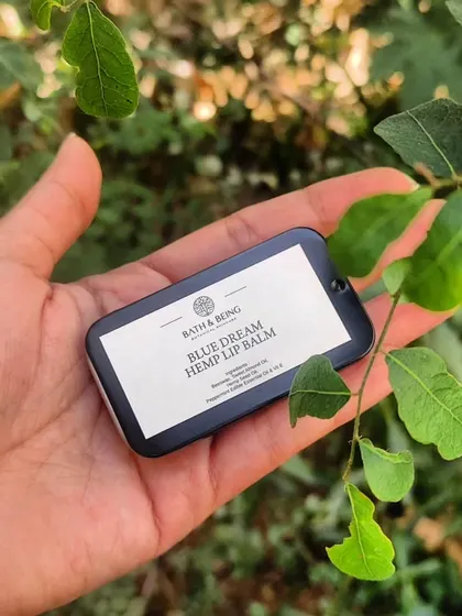 A closer look at the Blue Dream Hemp Lip Balm, nestled among some green leaves. It's as natural as its surroundings.
