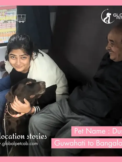 Dusky the Chocolate Labrador enjoying some quality time with family during a train journey from Guwahati to Bangalore. We make long-distance travel with pets a reality.