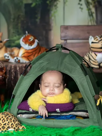 A wider shot of the jungle camping setup, showing the variety of animal friends keeping the baby company.