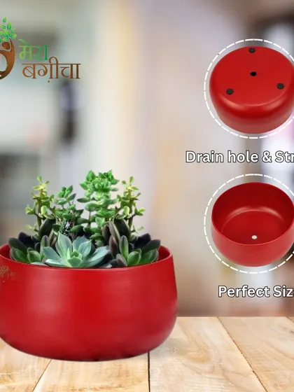I make sure our planters are not just beautiful but also functional. This red metal pot is made of strong material and includes a drain hole to keep your plants healthy and prevent root rot.