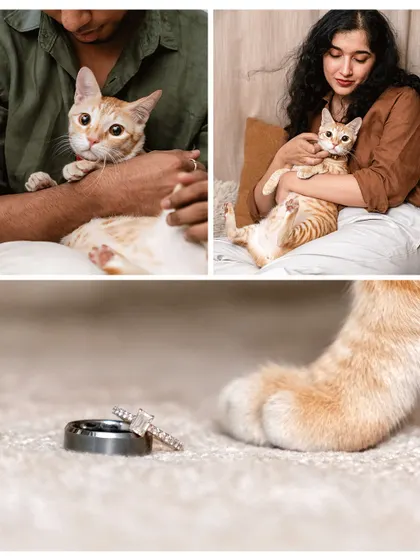 A collage of romantic and playful moments from Toffee's engagement shoot. From close-ups of the rings to sweet cuddles, every photo tells a piece of their love story.