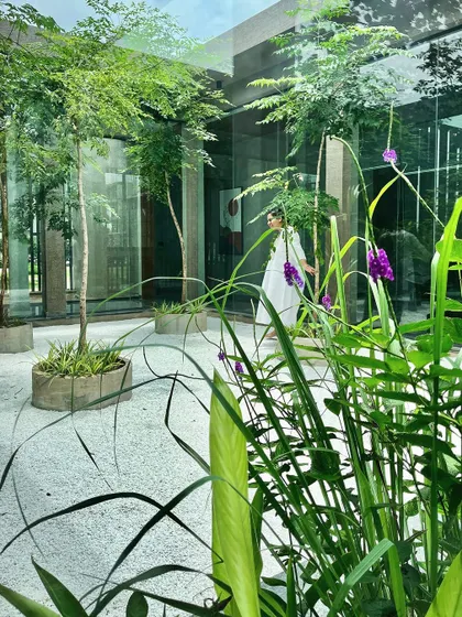 The glass walls of the building reflect the courtyard, blurring the lines between the indoor workspace and the outdoor garden. This visual connection to nature is central to my philosophy of biophilic design.