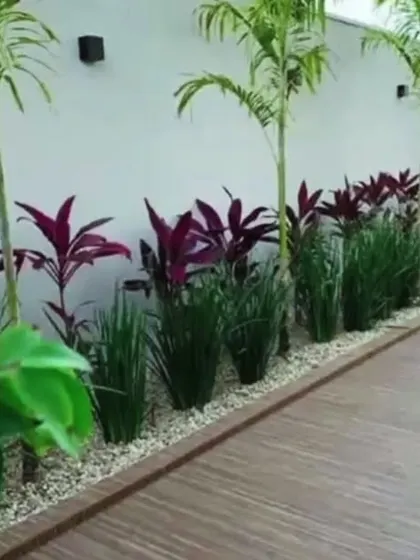 This is a modern garden design we created. It features a clean wooden deck pathway next to a garden bed with purple cordyline plants and tall grasses, showing how we mix materials for a beautiful look.