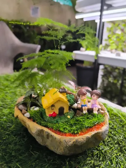 For Women's Day, we have a stunning array of plants to delight the special women in your life. From mini landscapes and terrariums to elegant potted plants, a green gift is a gift of life.