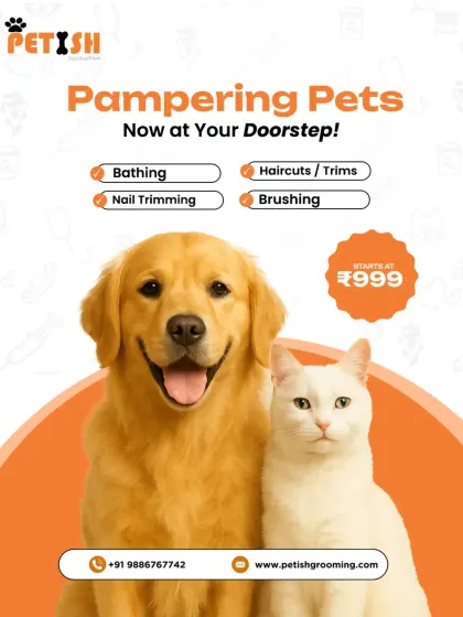 Whether you have a dog or a cat, I offer a full range of services to keep them looking and feeling their best. This includes bathing, haircuts, nail trimming, and brushing, with packages starting at just ₹999.