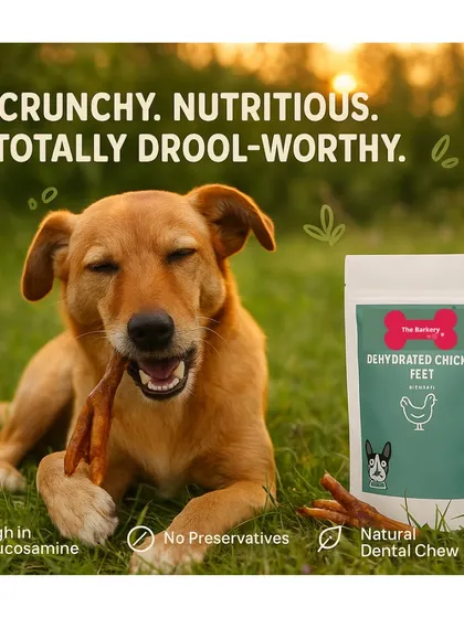My Dehydrated Chicken Feet are crunchy, nutritious, and totally drool-worthy. They act as a natural dental chew and are high in glucosamine, which is great for your dog's joint health.