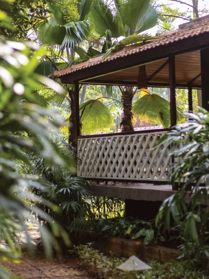 A peek at one of our cottages through the lush foliage, showcasing how our stays are truly integrated with the natural environment.