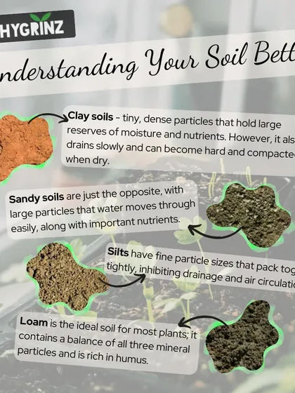 Understanding your soil is the first step to successful gardening. This visual guide explains the differences between clay, sandy, silt, and loam soils and their characteristics.