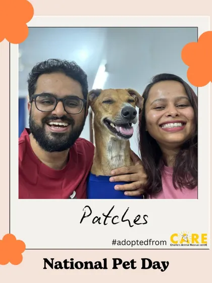 The smiles say it all. Patches, an adopted Indie, with his happy family. This is the joy we work to create every day.