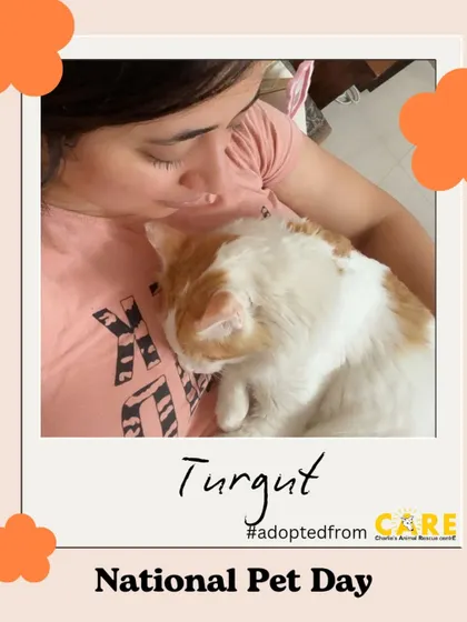 Turgut, adopted from CARE, snuggling with his human. Celebrating the beautiful bond between pets and their people on National Pet Day.